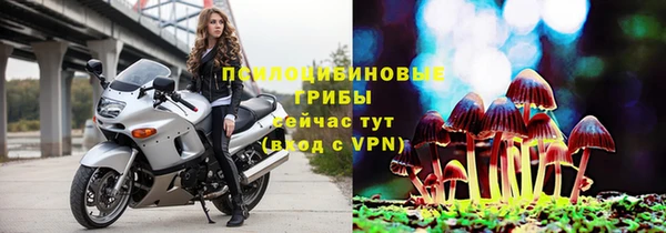 герыч Арсеньев