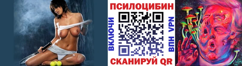 Псилоцибиновые грибы Psilocybe  Дзержинск 